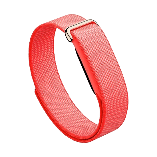 Watch Google Fitbit Air - Berry